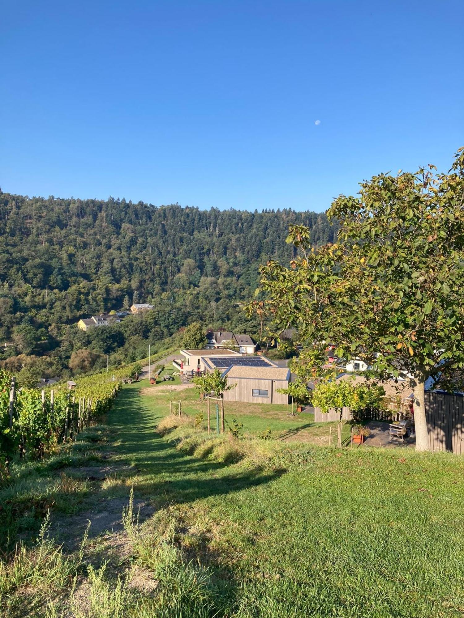 KlusserathMoselhoch公寓 外观 照片