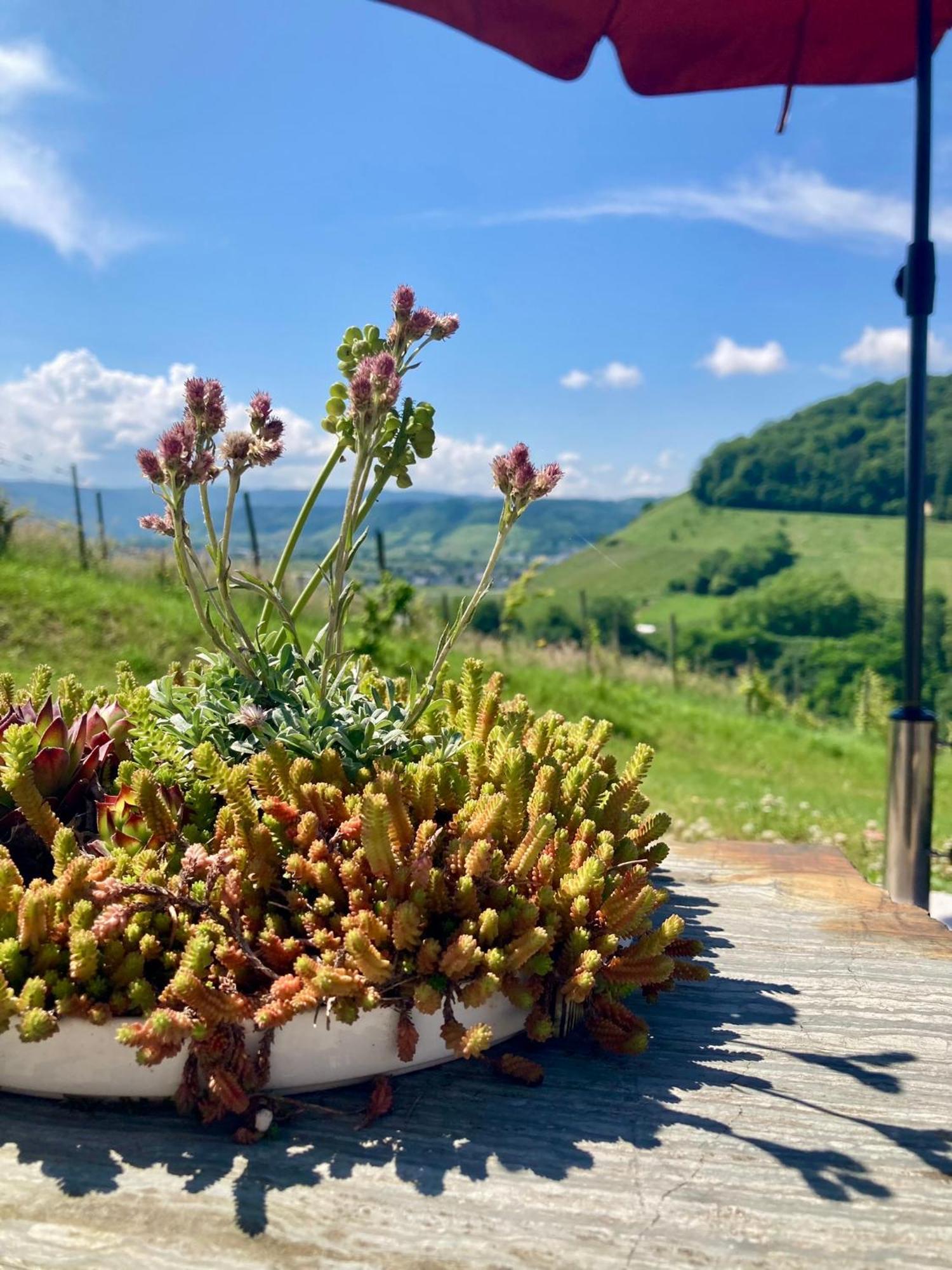 KlusserathMoselhoch公寓 外观 照片